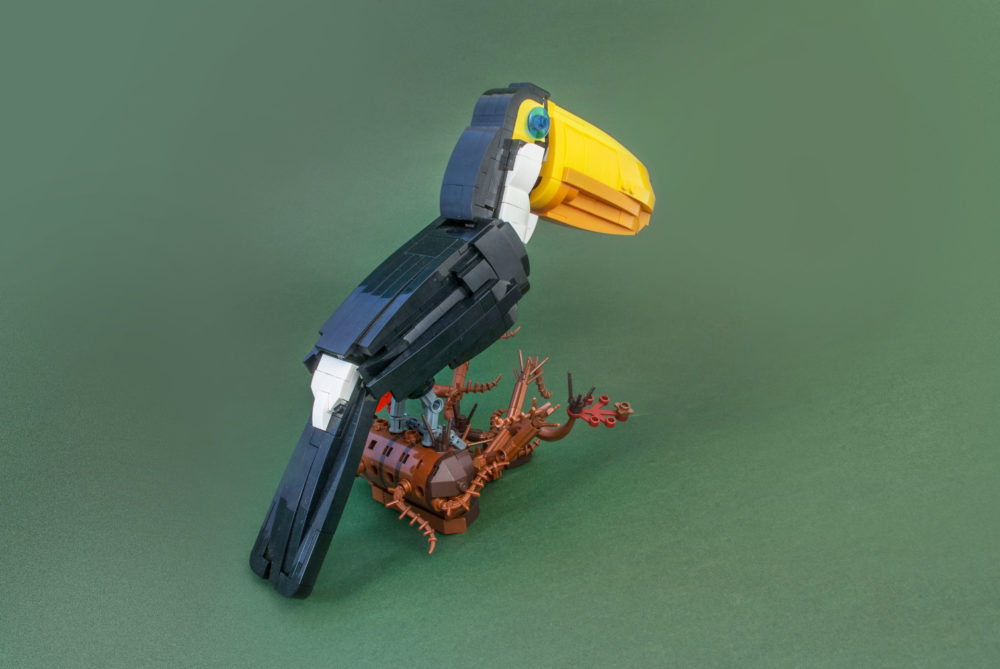 The Toco Toucan
