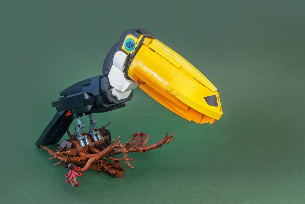 The Toco Toucan