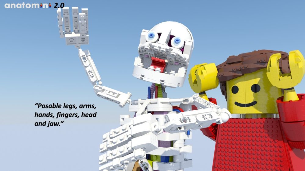 LEGO Ideas Anatomini 