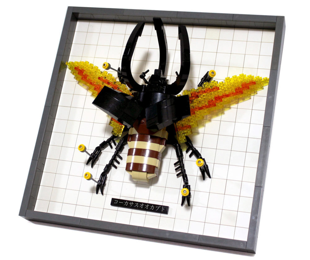 LEGO Chalcosoma caucasus framed