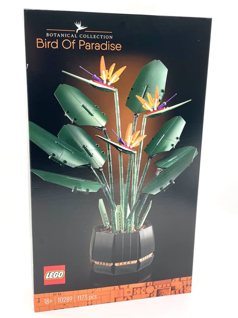 10289 Bird of Paradise