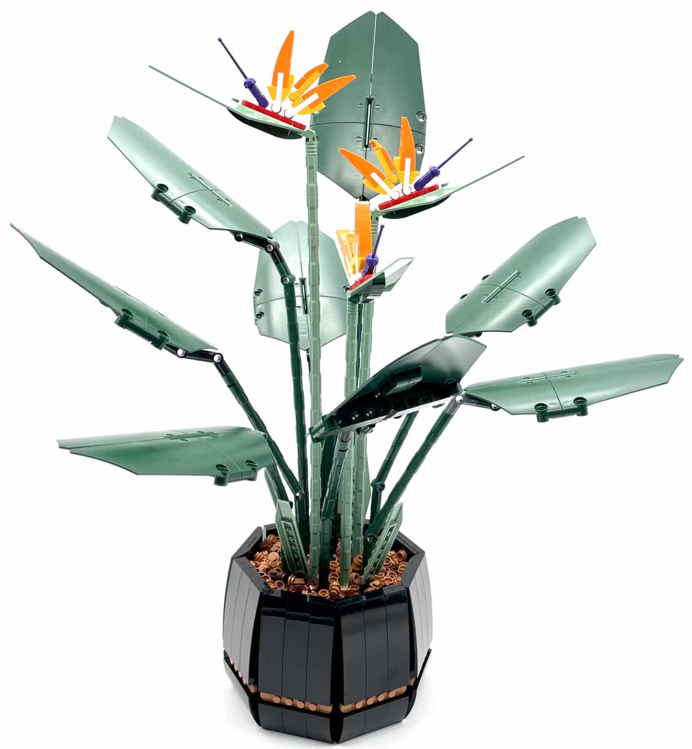 [Review] LEGO Botanical Collection Bird of Paradise