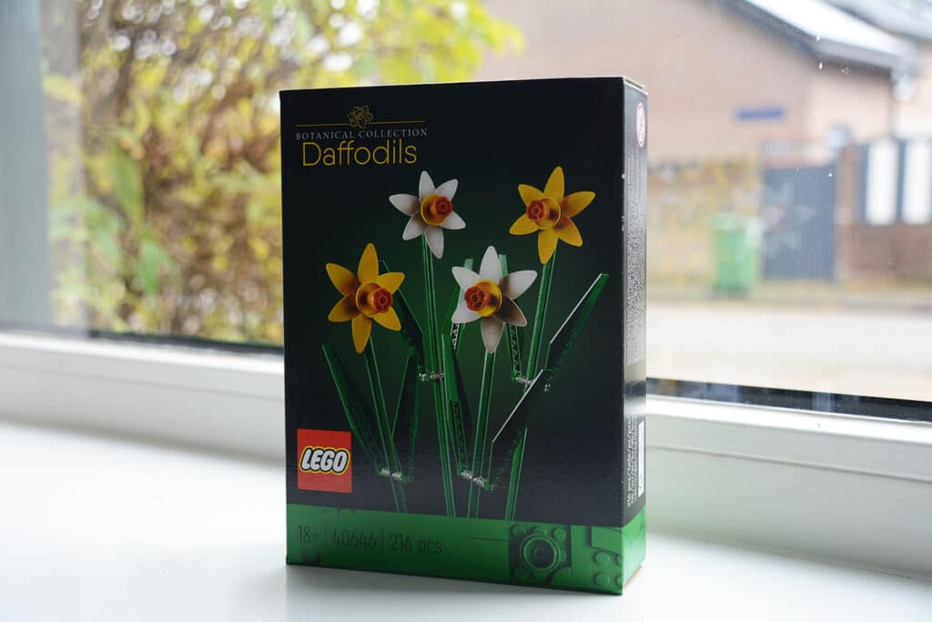 40646 daffodils (1)
