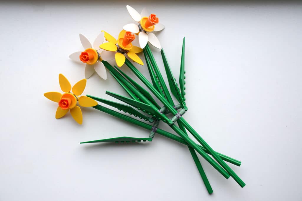 40646 daffodils (3)