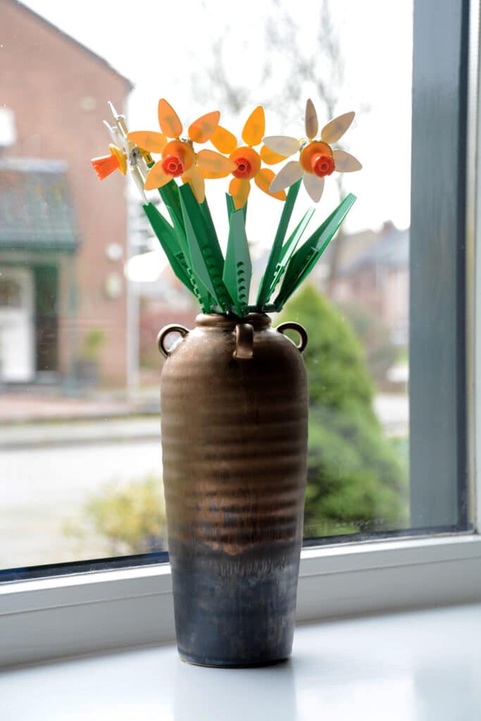 40646 daffodils (5)