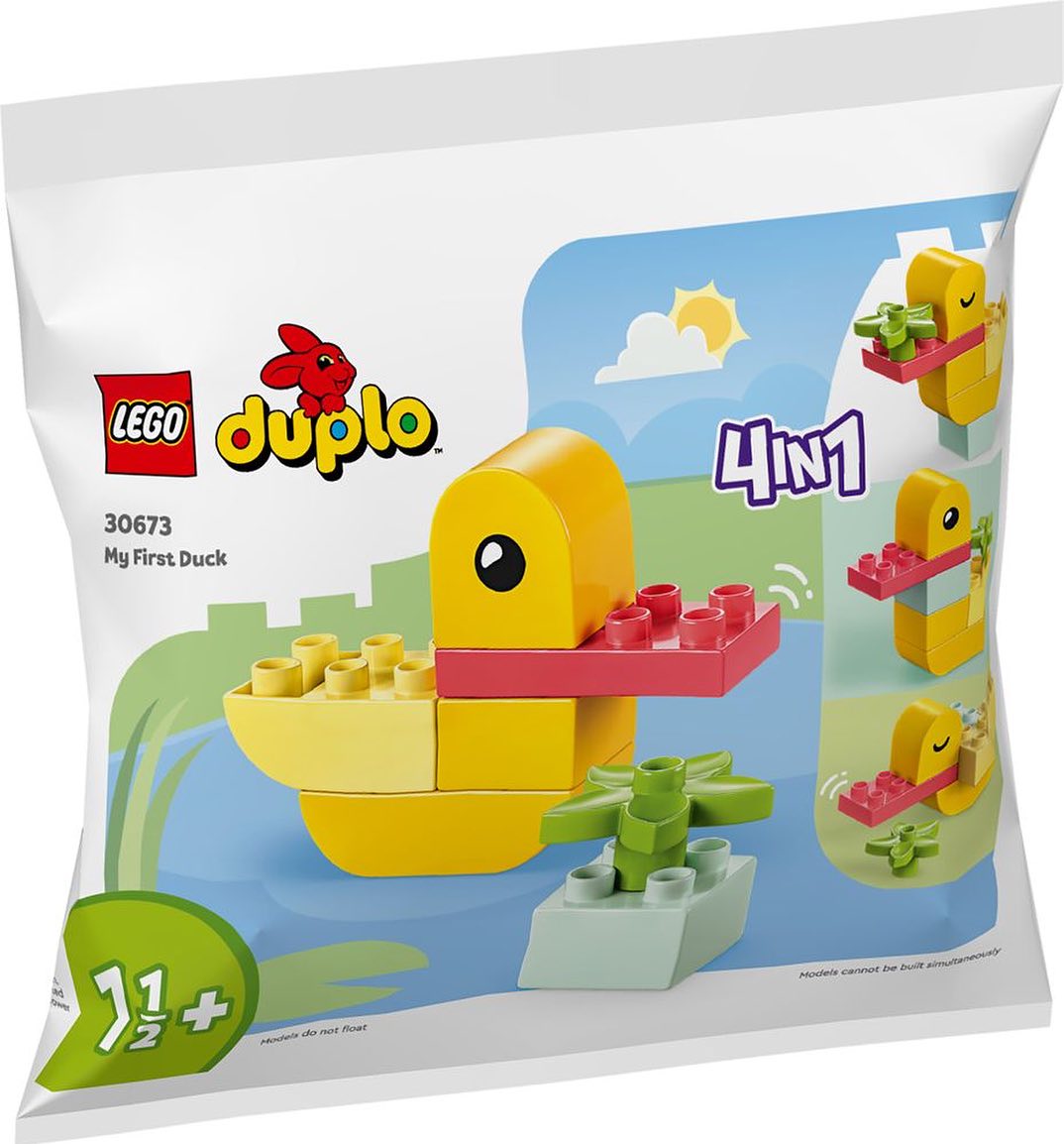 lego 30673 my first duck