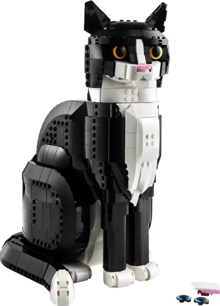 21349
