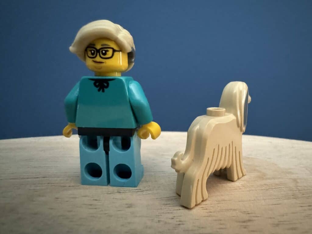 lego minifigures 71045 series 25 12 back