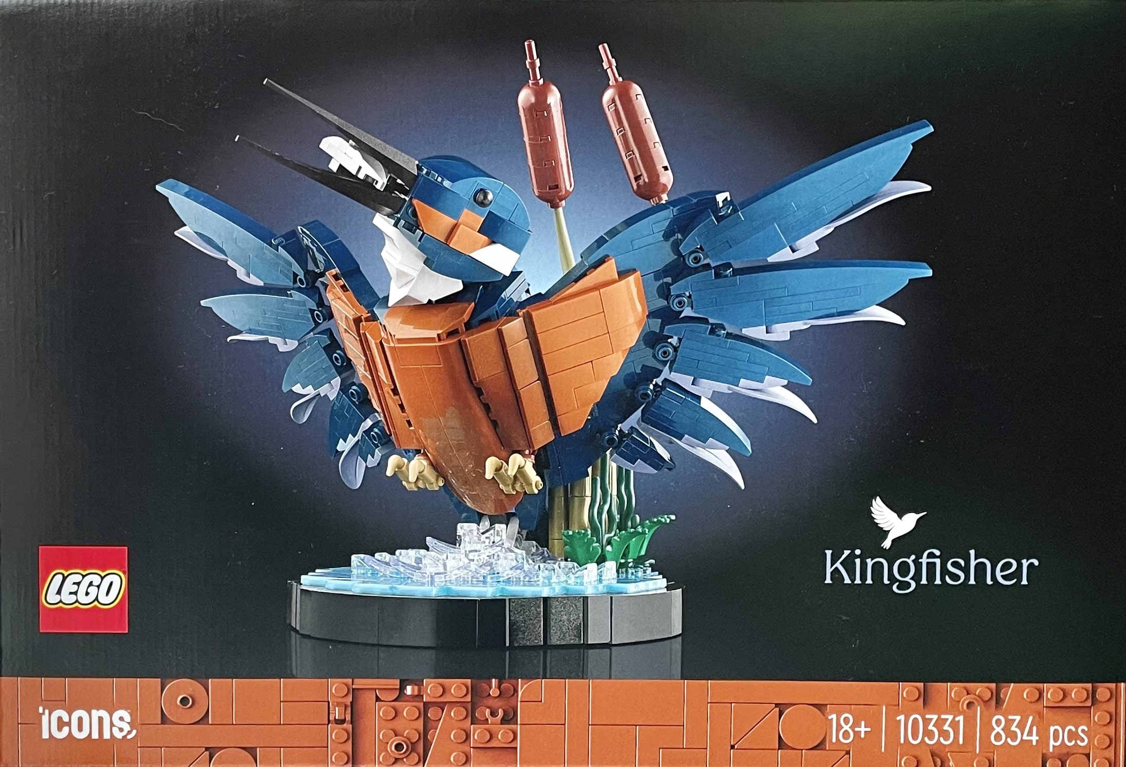 10331 kingfisher bird