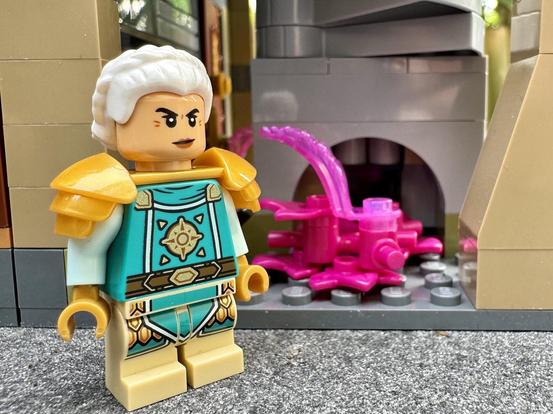 lego 21348 dungeon's and dragons red dragon's tale00062