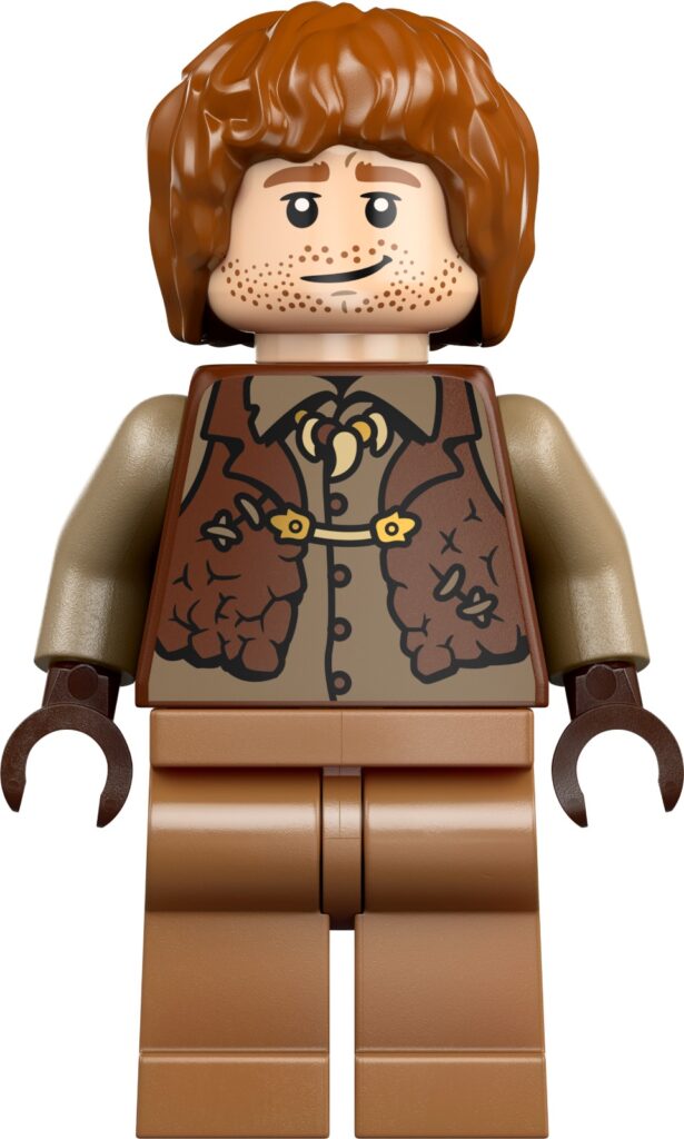 lego harry potter 76437 collectors edition the burrow minifigures (12)
