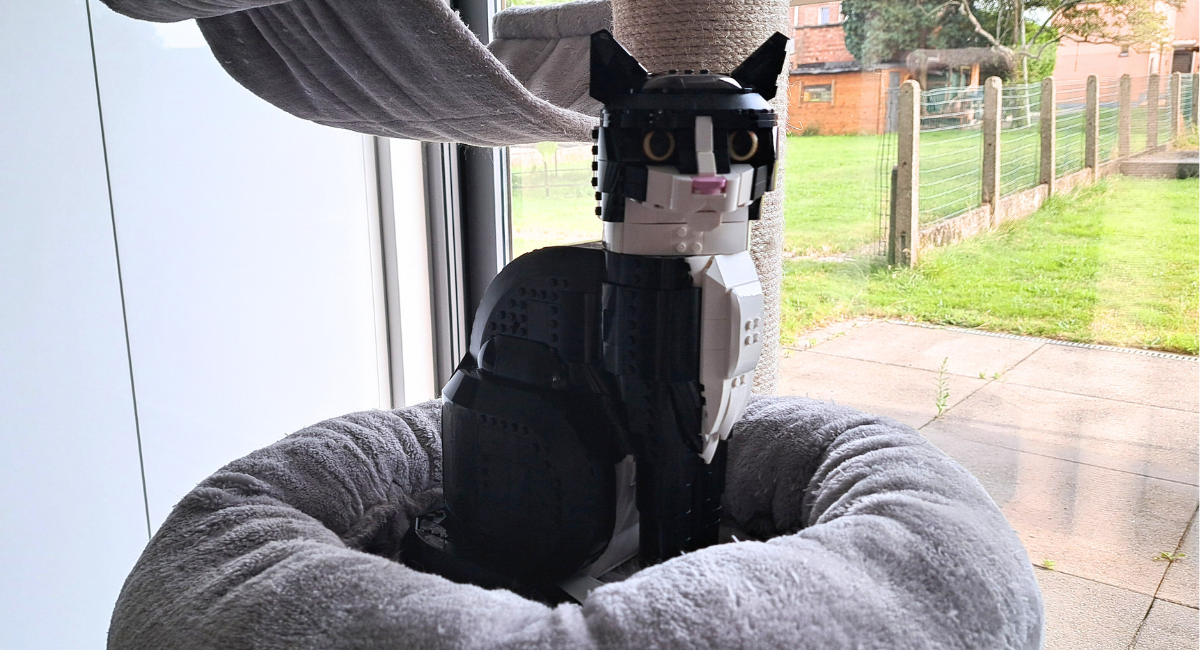 [review] lego ideas 21349 tuxedo cat (2)