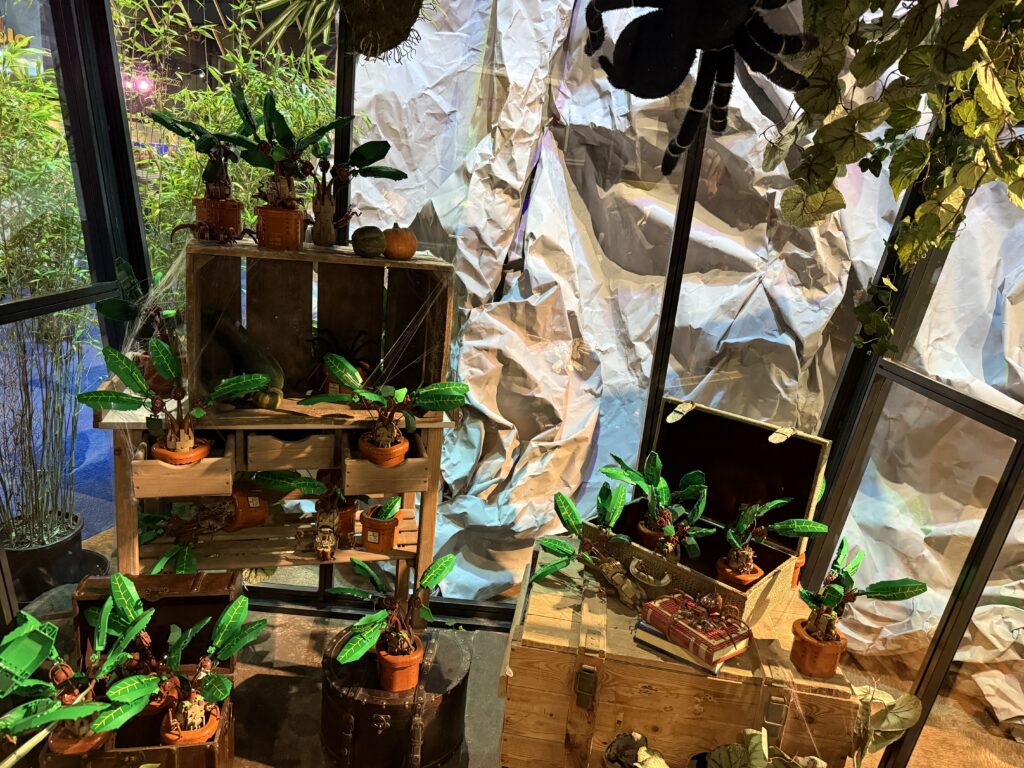 lego world 2024 mandrakes