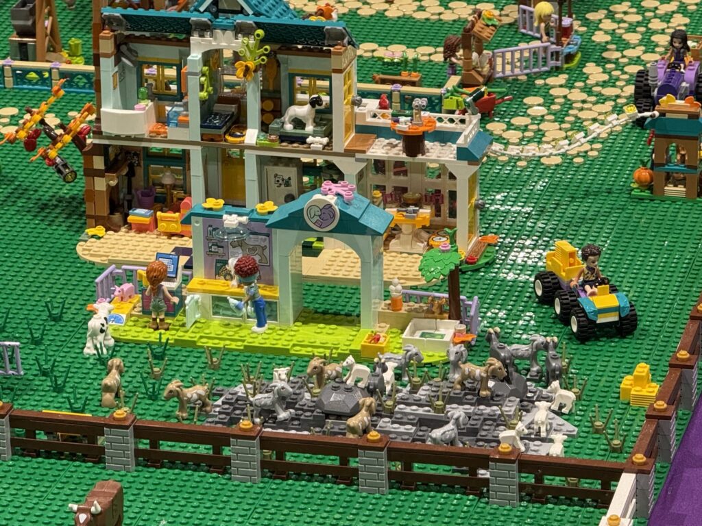 lego world 202400008