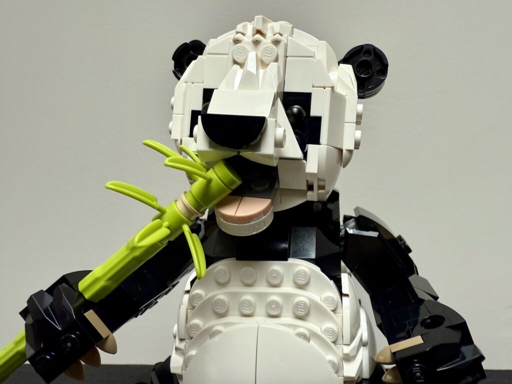 lego creator 311165 wild animals panda family00007