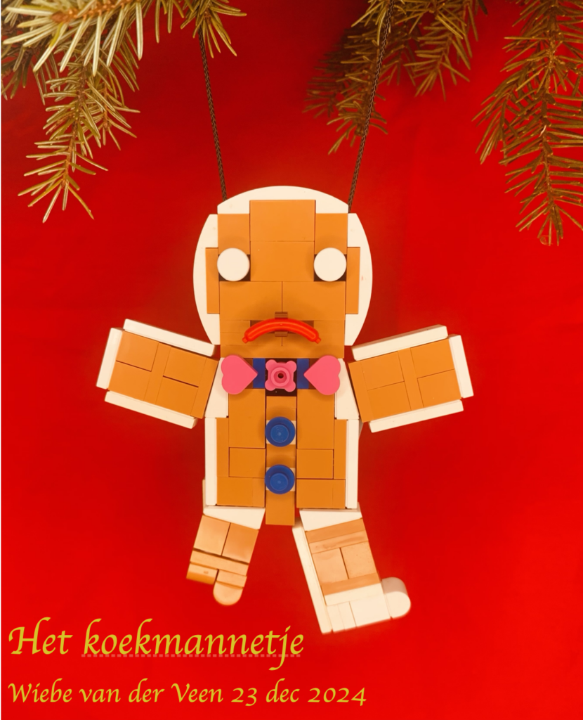 Scherm­afbeelding-2024-12-23-om-16.48.51