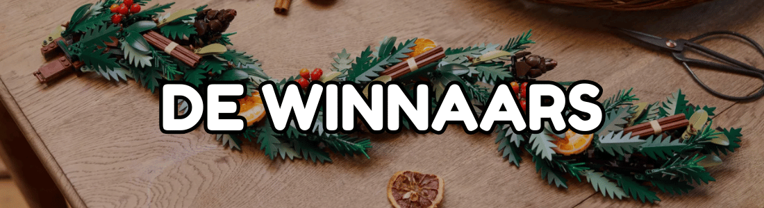 vier de feestdagen met bouwsteentjes winnaars