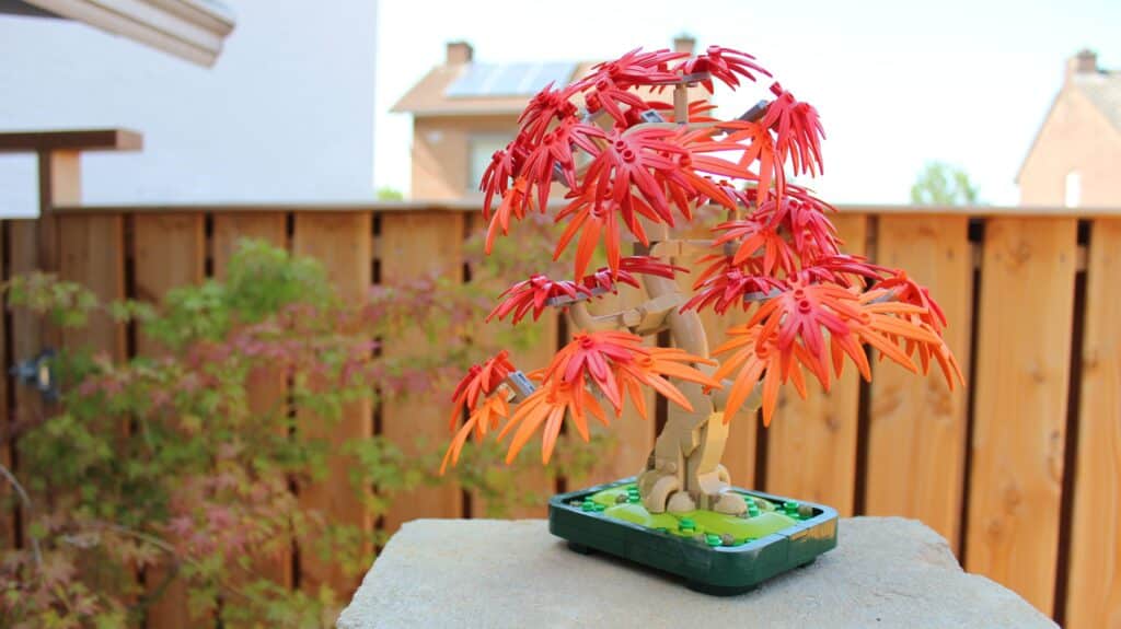 lego botanicals 10348 japanese maple tree 02