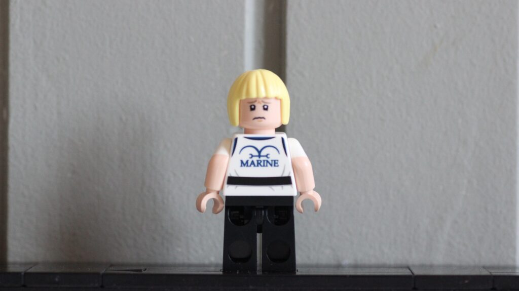 lego one piece 75640 the baratie floating restaurant 21.docx