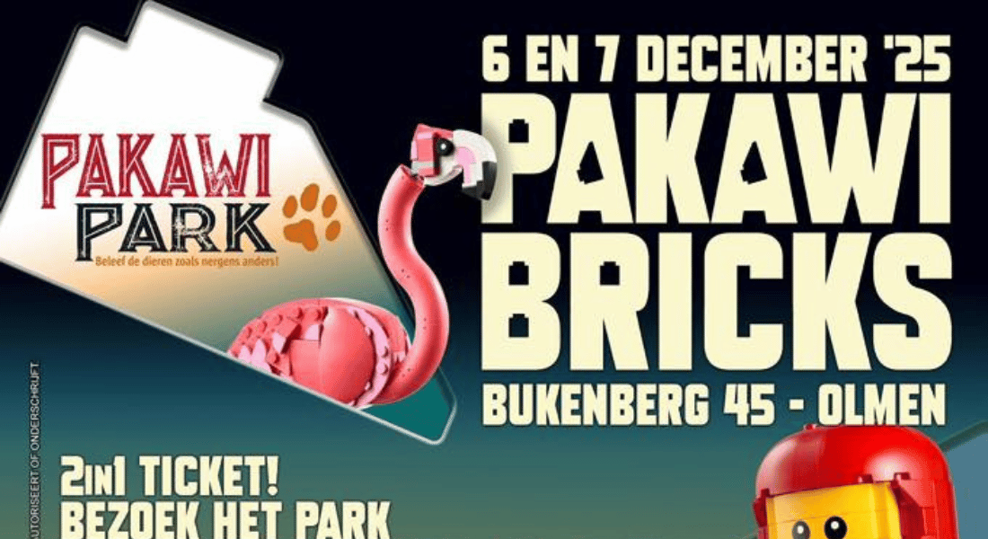 pakawi bricks olmen