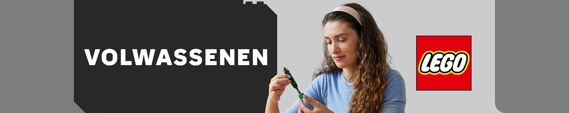 lego 18+ banner