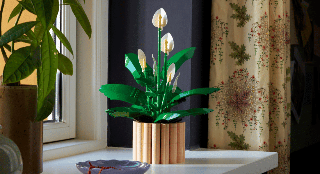 LEGO Botanicals 11504 Peace Lily onthuld – vanaf januari verkrijgbaar