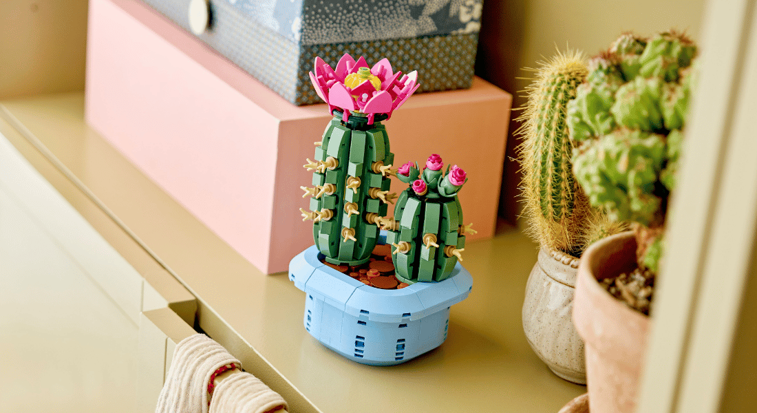 LEGO Botanicals 11509 Flowering Cactus onthuld – vanaf januari verkrijgbaar