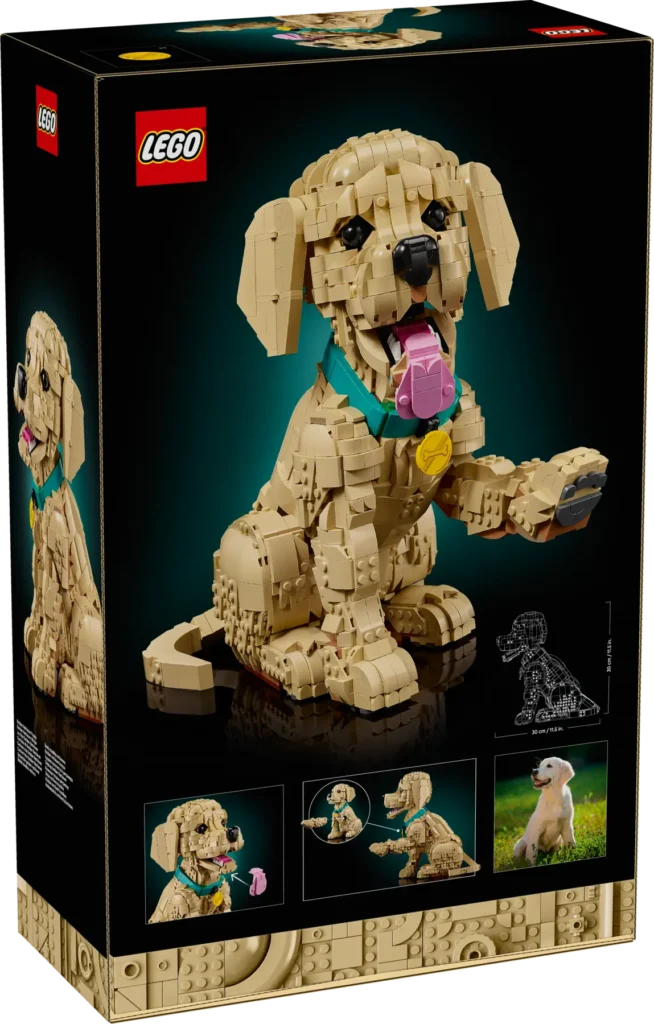 lego icons 11384 golden retriever puppy (16)