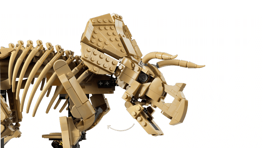 lego jurassic world 77985 dinosaur fossils triceratops (5)
