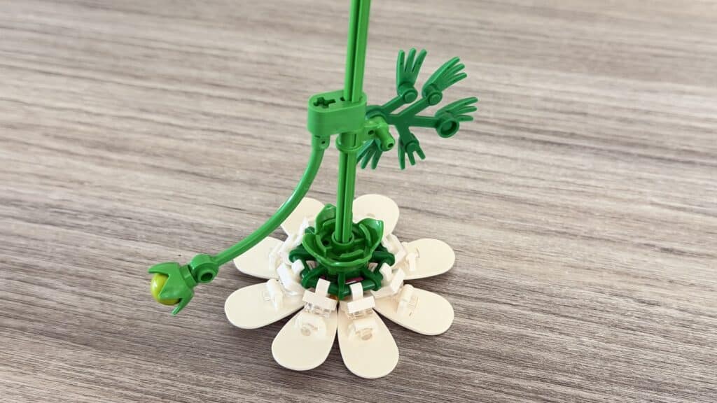 lego botanicals 11514 cosmos flowers5